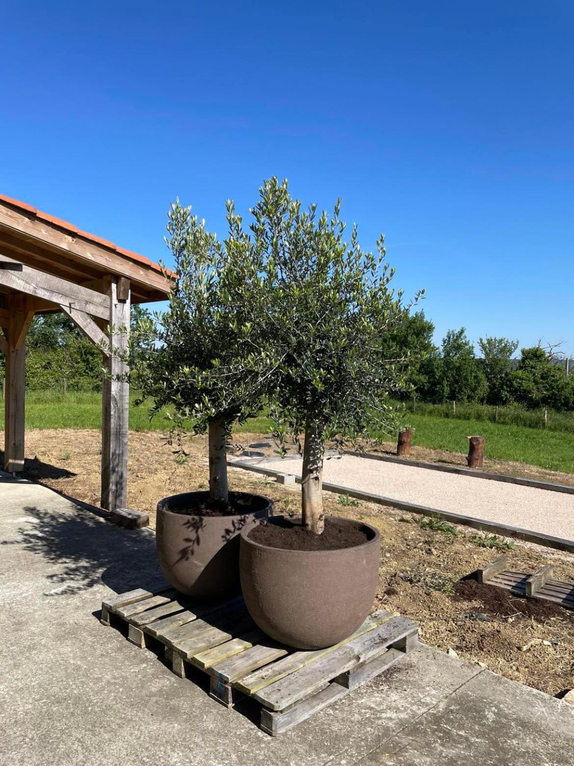 Maison Cabet Castelnavet Dış mekan fotoğraf